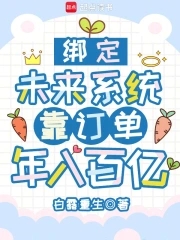 绑定未来系统,靠订单年入百亿