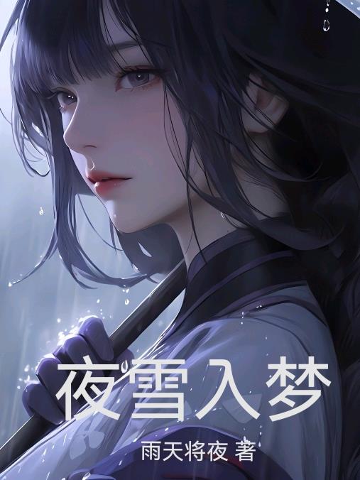 夜雪入梦