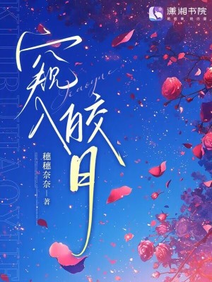窥入皎月