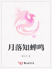 月桥醉蝉