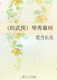 （综武侠）琴秀幕珂