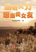 诸葛大力想当我女友