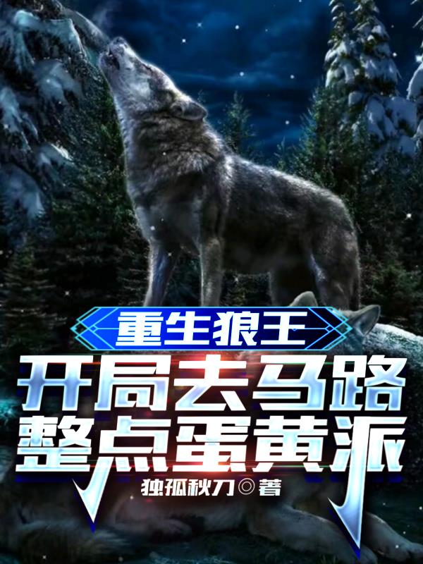 天道?狼道?我选高速公路!