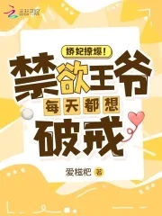 新婚夜，我转身嫁王爷废渣男满门