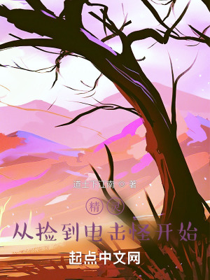 精灵：从捡到电击怪开始